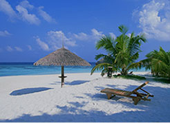 Feauture Image 01